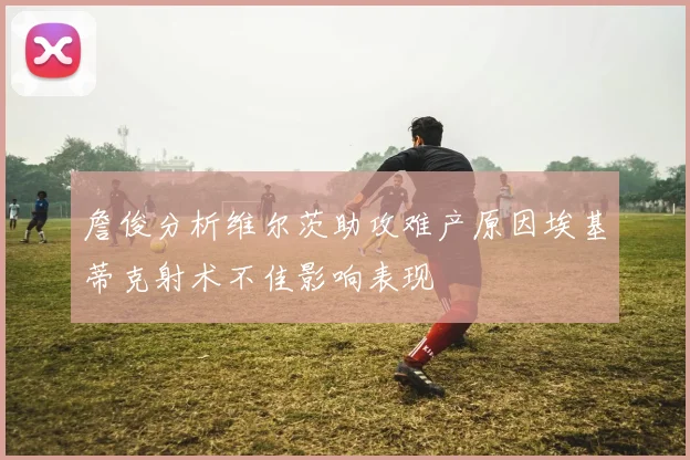 詹俊分析维尔茨助攻难产原因埃基蒂克射术不佳影响表现