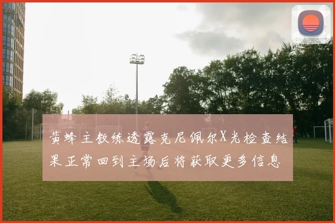 黄蜂主教练透露克尼佩尔X光检查结果正常回到主场后将获取更多信息