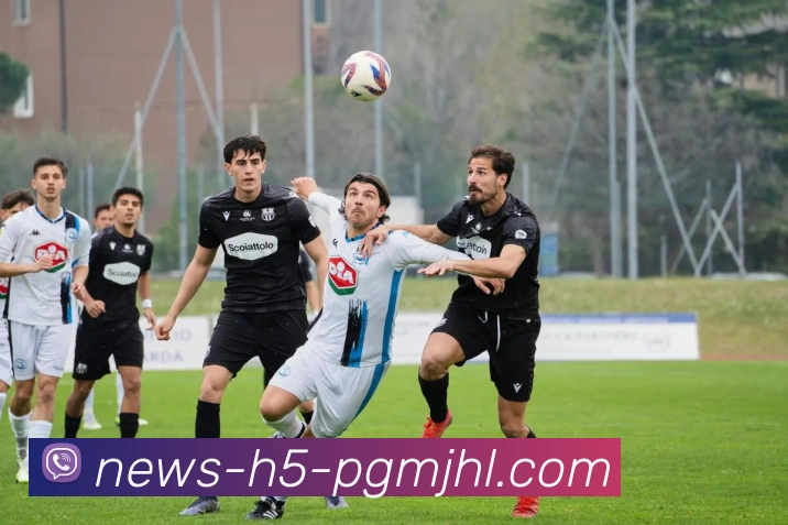 麻将胡了服务体系